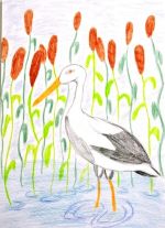 Lanczová Veronika.jpg